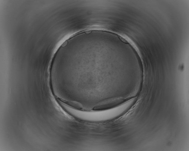 X0000091011341200708021540