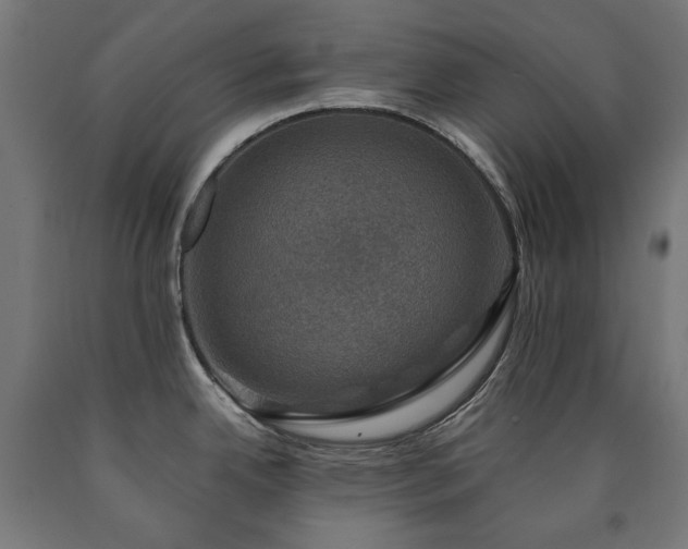 X0000091011342200708021540