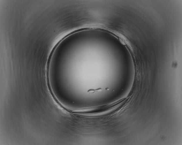 X0000091011343200708021540