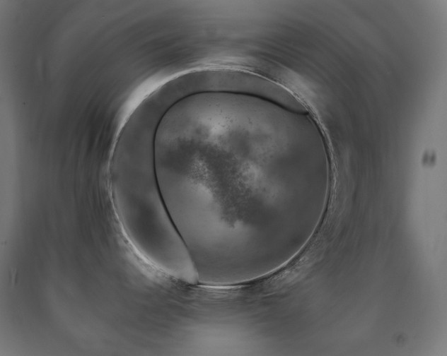 X0000091011344200708021540