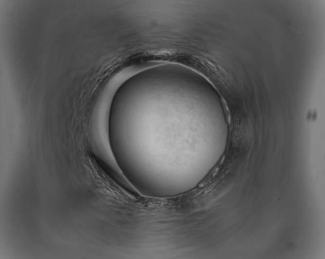 X0000091011345200708021540