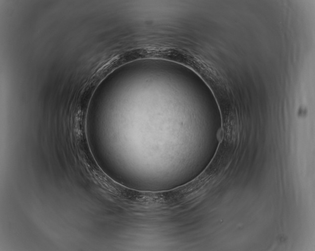 X0000091011346200708021540