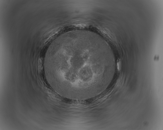 X0000091011347200708021540