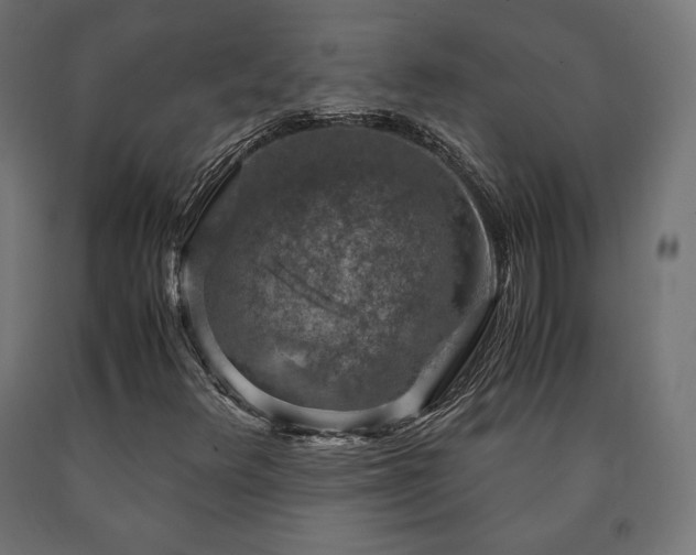 X0000091011348200708021540