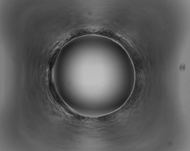 X0000091011349200708021540