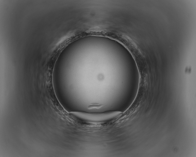 X0000091011350200708021540