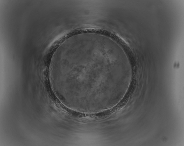X0000091011351200708021540