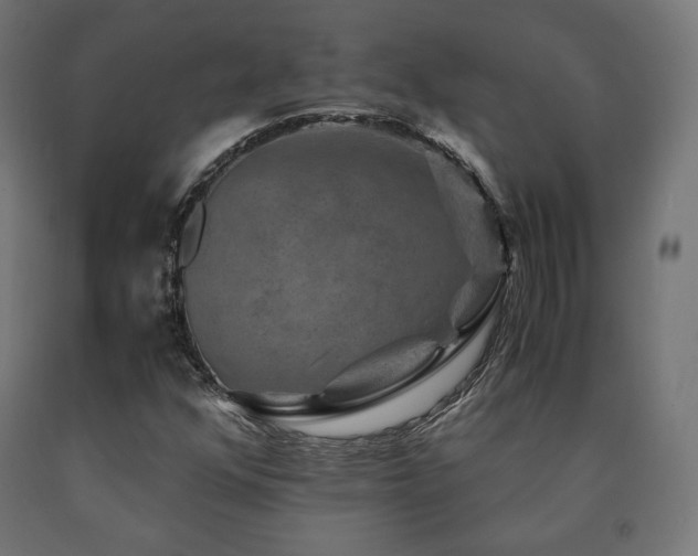 X0000091011352200708021540