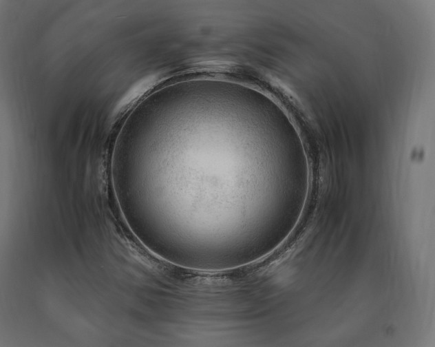 X0000091011354200708021540