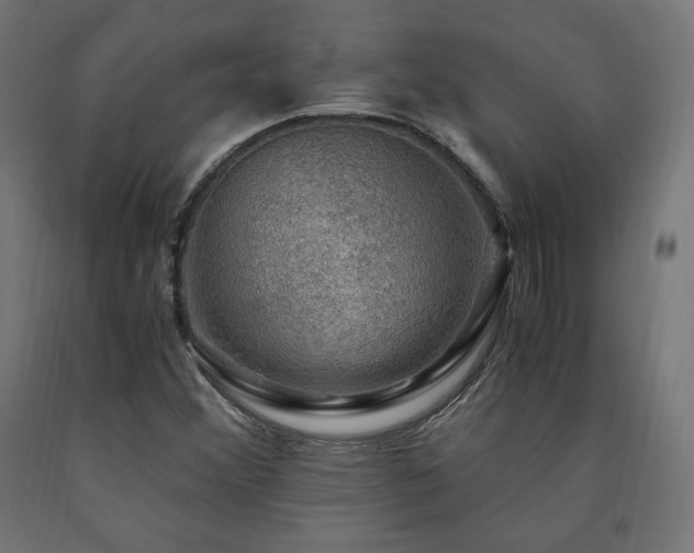 X0000091011356200708021540