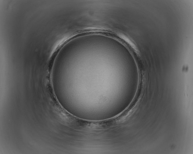 X0000091011357200708021540