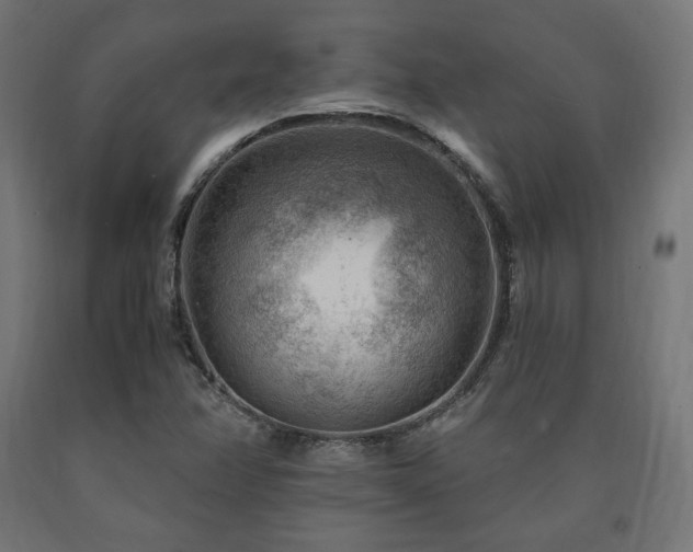 X0000091011358200708021539
