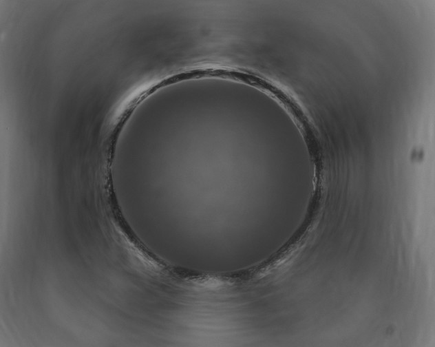 X0000091011359200708021539