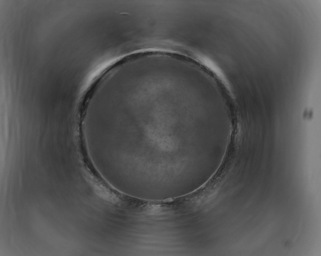 X0000091011360200708021539