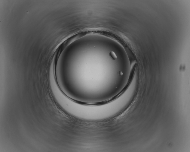 X0000091011361200708021539