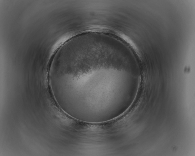 X0000091011362200708021539
