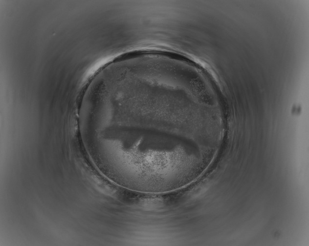 X0000091011363200708021539