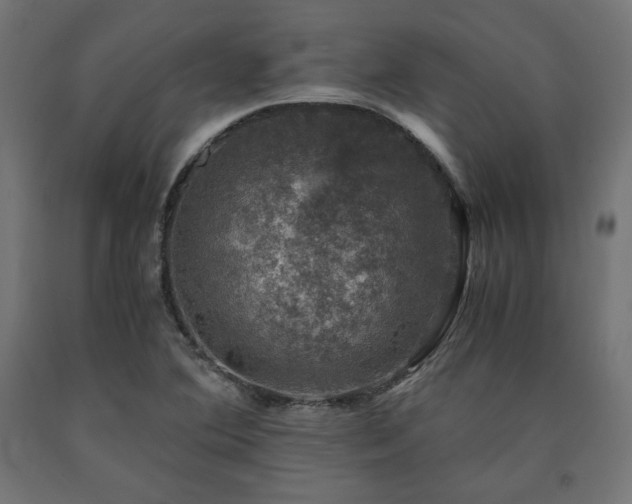 X0000091011364200708021539