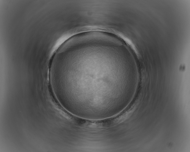 X0000091011365200708021539