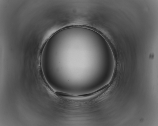 X0000091011366200708021539