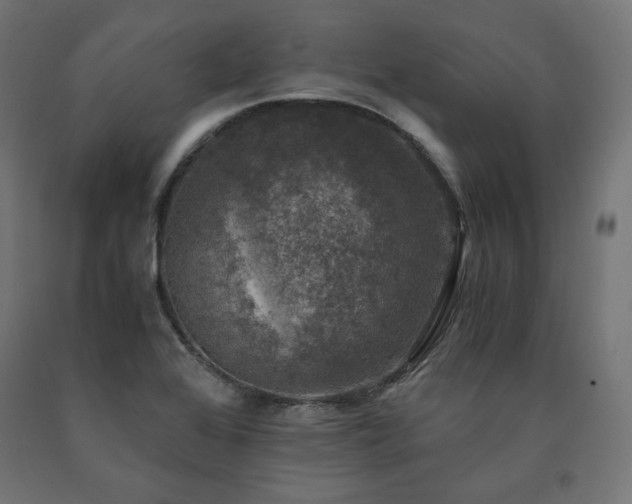 X0000091011368200708021539