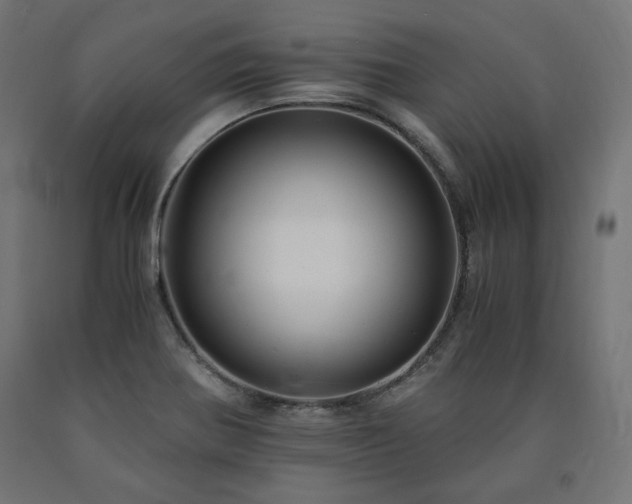 X0000091011370200708021539