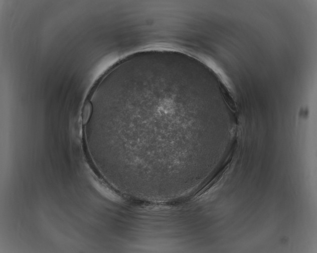 X0000091011372200708021539
