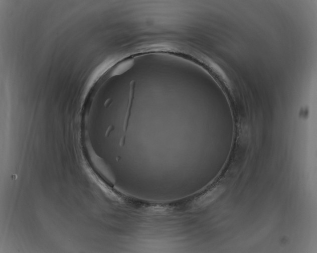 X0000091011373200708021539