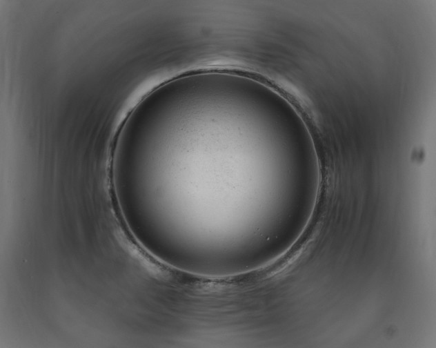 X0000091011374200708021539
