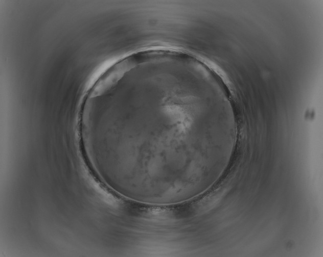X0000091011375200708021539