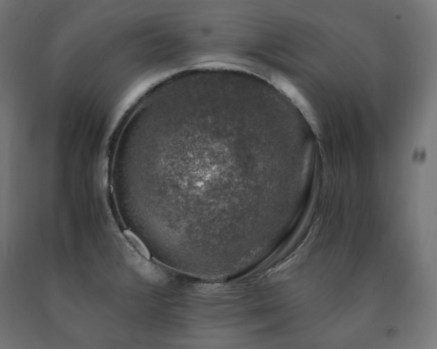 X0000091011376200708021539