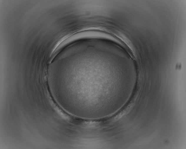 X0000091011377200708021539