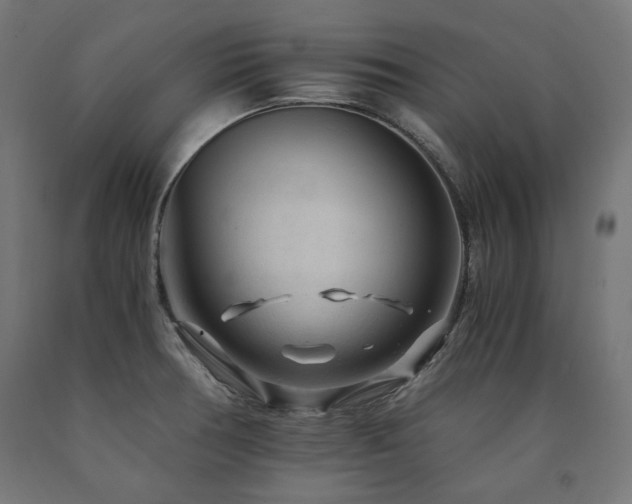 X0000091011378200708021539