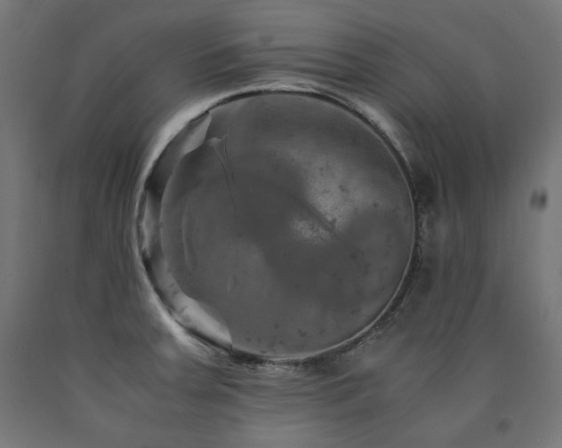 X0000091011379200708021539