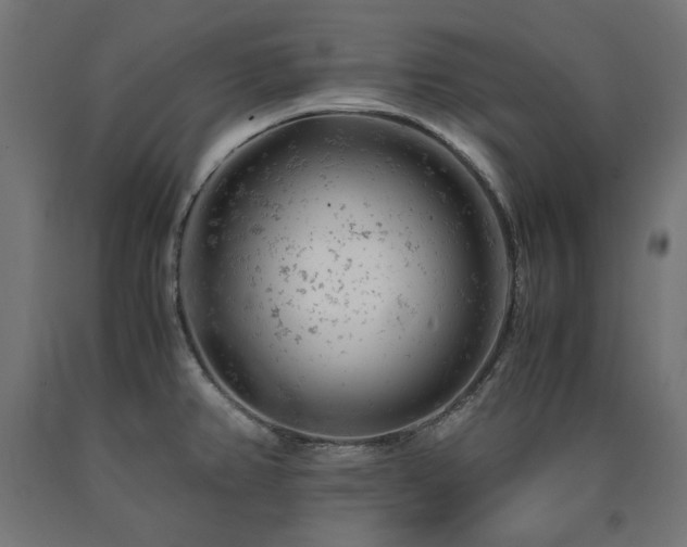 X0000091011382200708021539