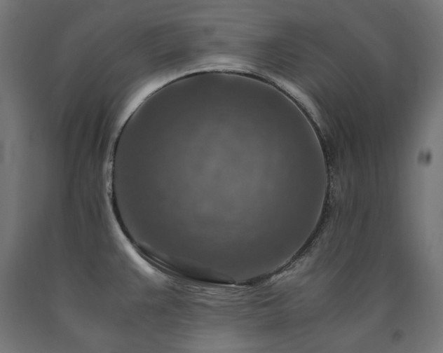 X0000091011383200708021539