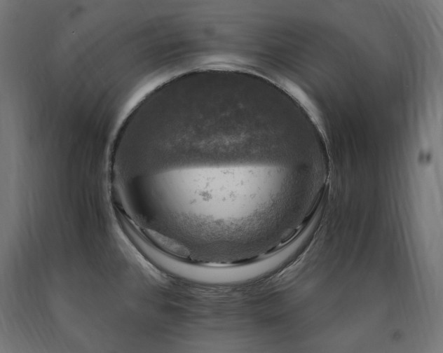 X0000091011384200708021539
