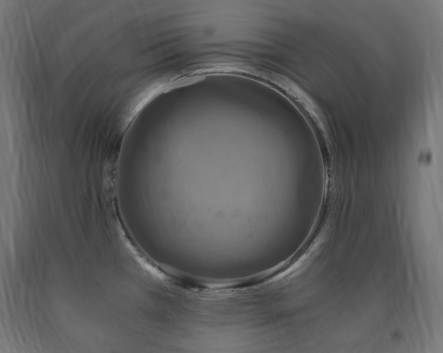 X0000091011385200708021539