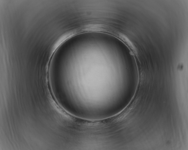 X0000091011386200708021539