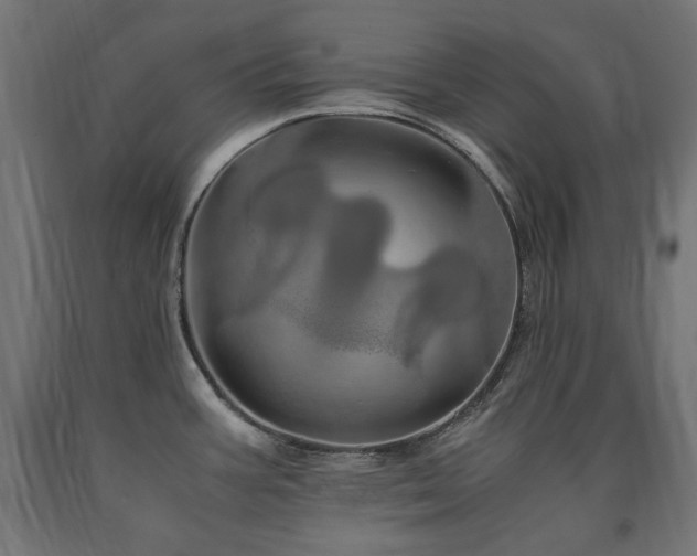 X0000091011387200708021539