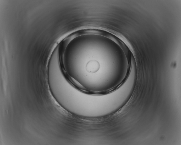 X0000091011388200708021539