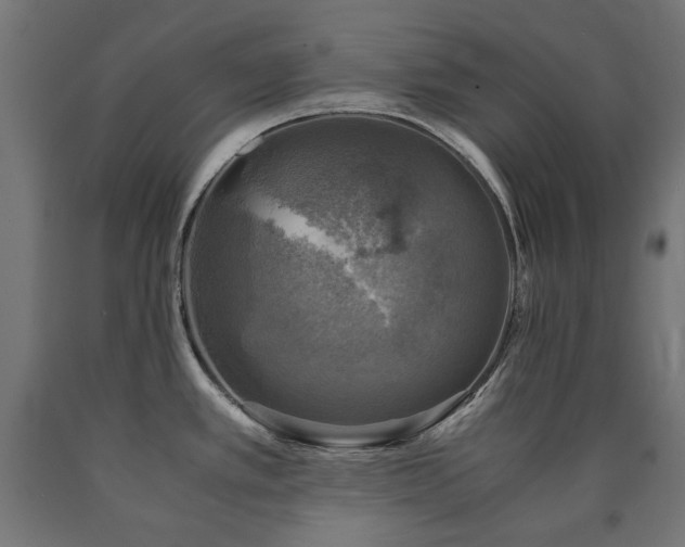 X0000091011389200708021539