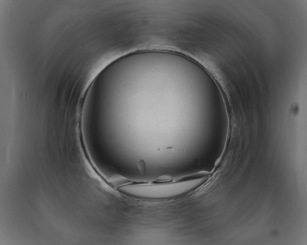 X0000091011390200708021539