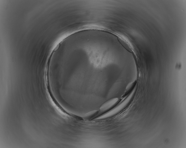 X0000091011391200708021539
