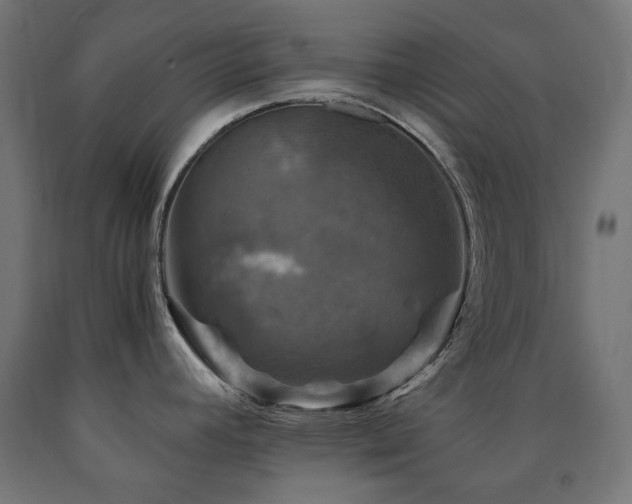 X0000091011392200708021539