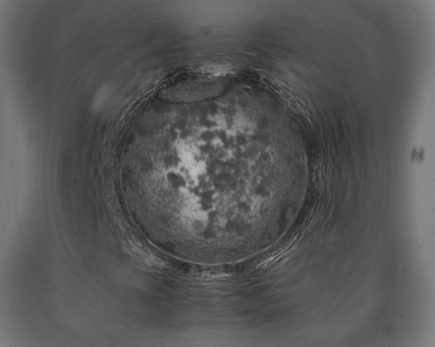 X0000091011393200708021538