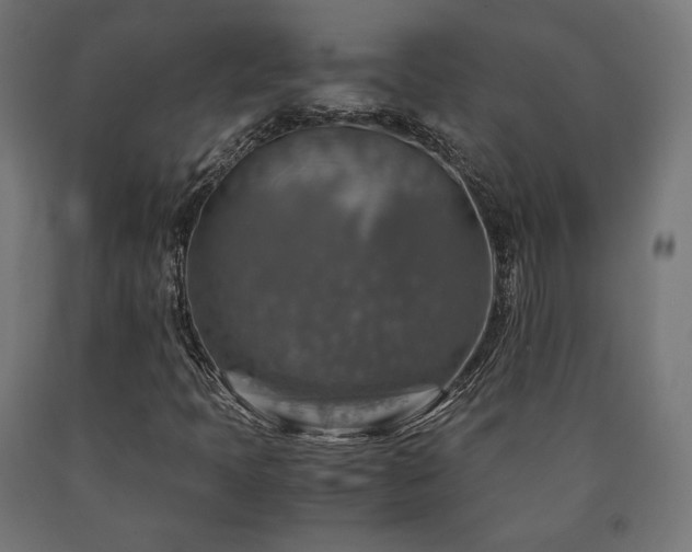 X0000091011397200708021538