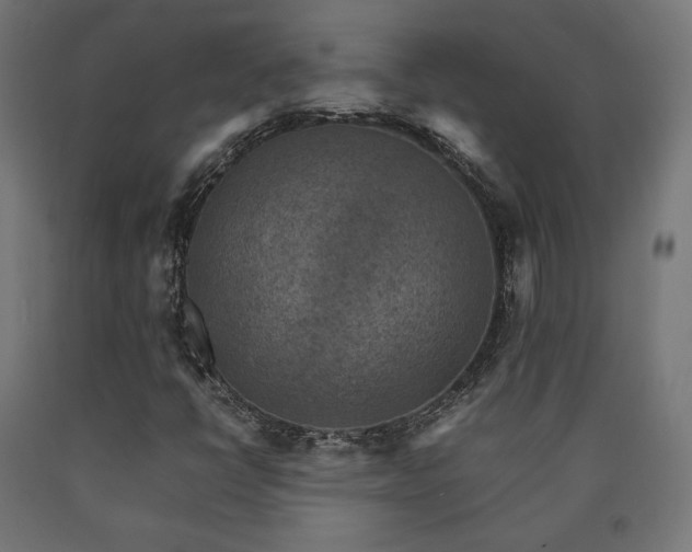 X0000091011398200708021538