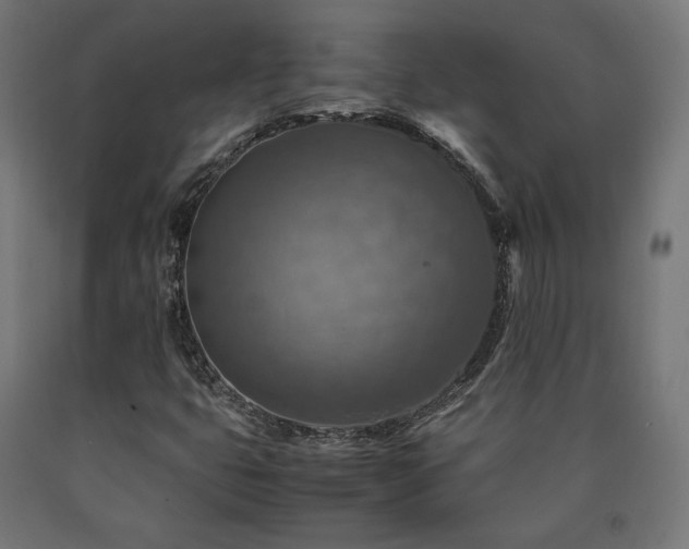 X0000091011399200708021538