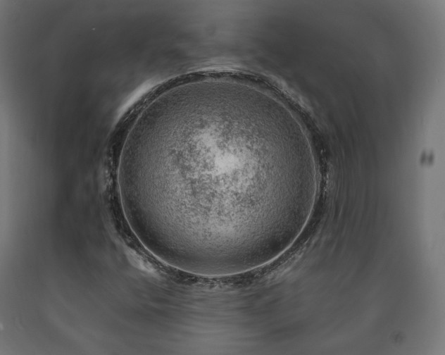 X0000091011400200708021538